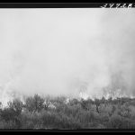 Grass fire in Boise County, Idaho, 1941.