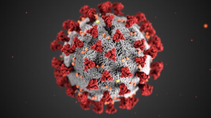 Novel Coronavirus (COVID-19) Pandemic